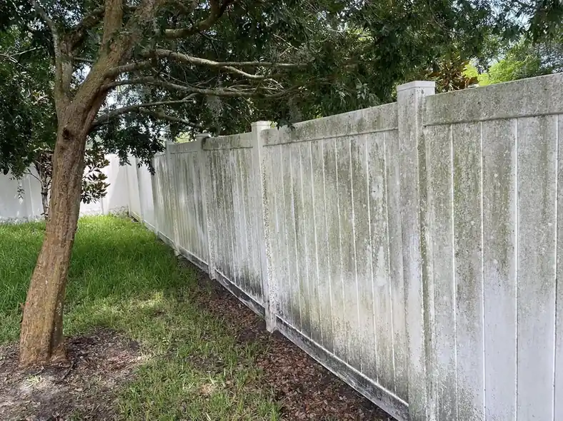 Vinyl fence with algae and mildew buildup before cleaning